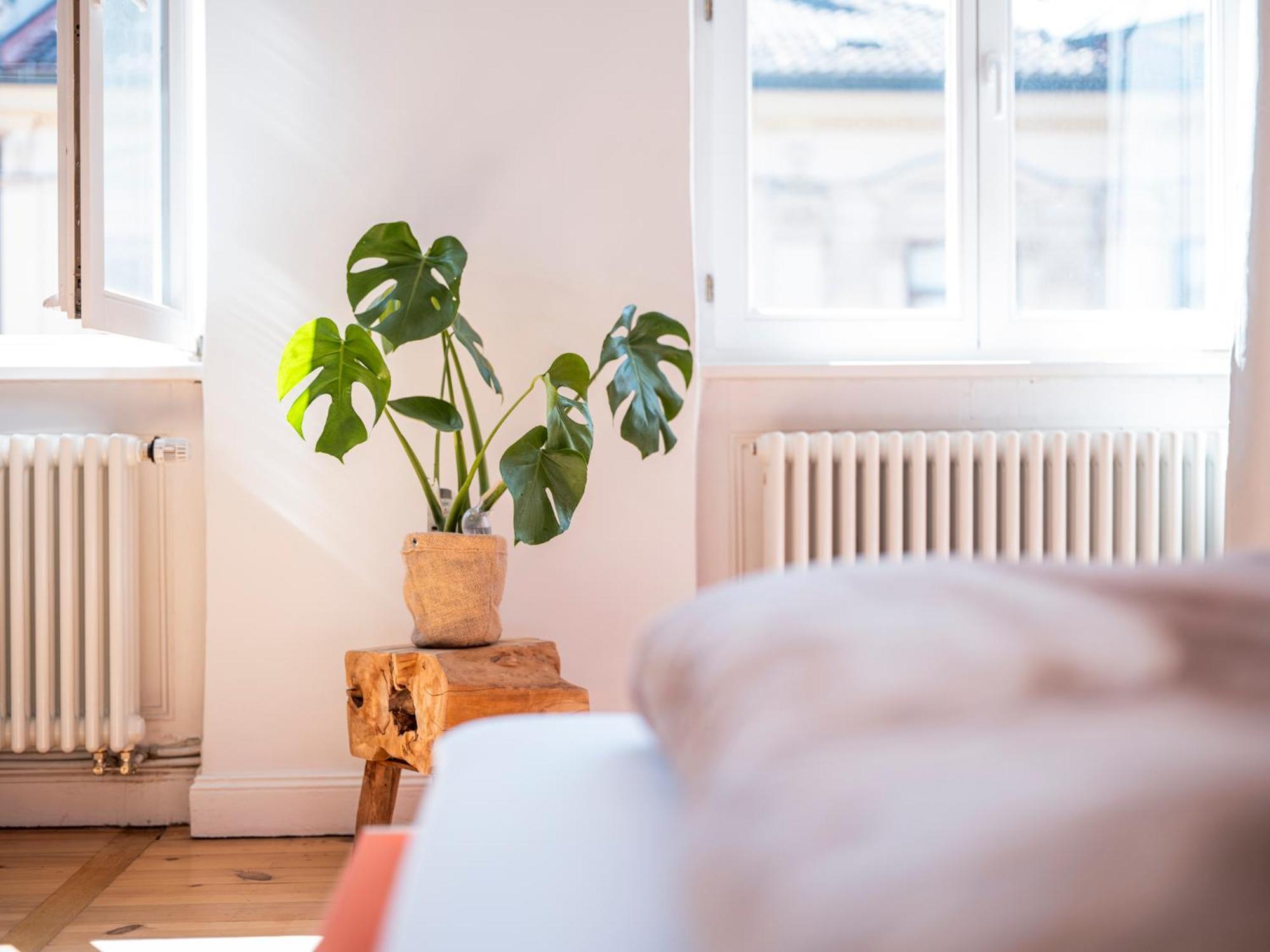 Bunter Hund - Balkon, Zentral, Geraeumig Appartement *
